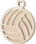 Volleyball- Hollow Silver
