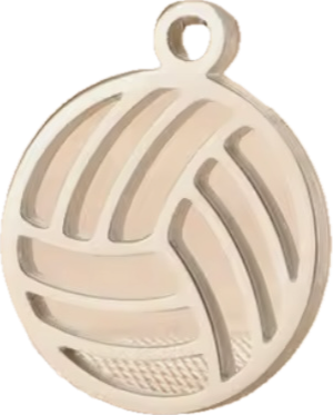 Volleyball- Hollow Silver