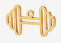 Barbell- Hollow Gold