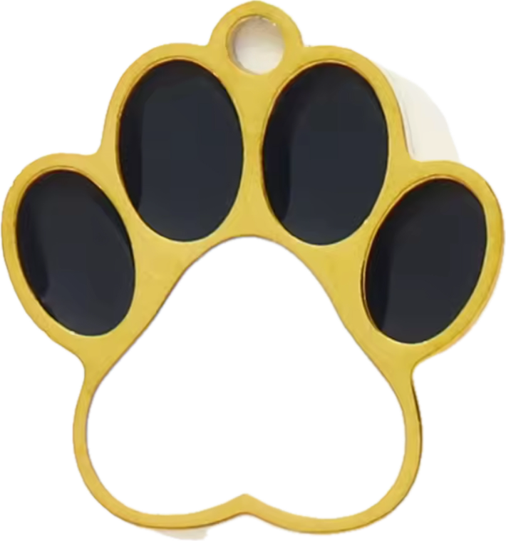 Paw print 🐾 Charm